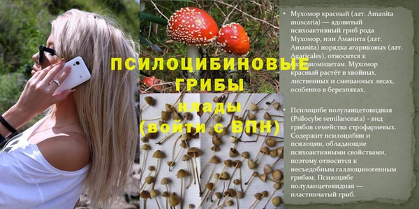 прущий лед Майский