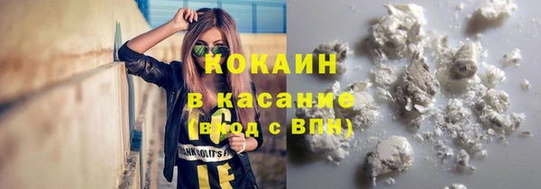 ГАЛЛЮЦИНОГЕННЫЕ ГРИБЫ Магас
