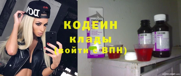 герыч Мегион