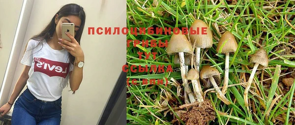 прущий лед Майский