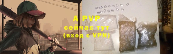 ГАЛЛЮЦИНОГЕННЫЕ ГРИБЫ Лиски