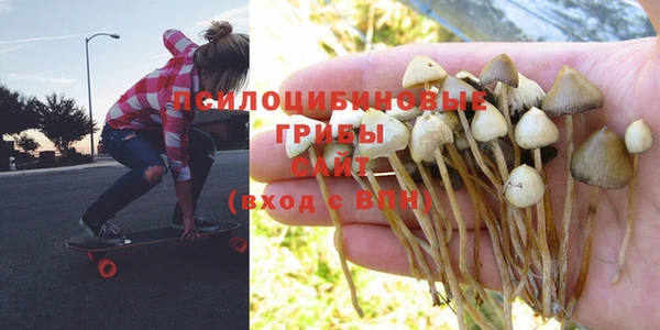 тгк Строитель