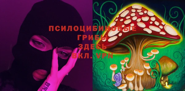 ГАЛЛЮЦИНОГЕННЫЕ ГРИБЫ Магас