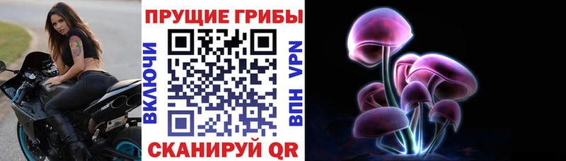 Псилоцибиновые грибы ЛСД Стародуб