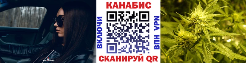 Бошки Шишки ГИДРОПОН Стародуб
